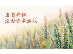 某上市公司花38億收購981個公眾號 自媒體淪為資