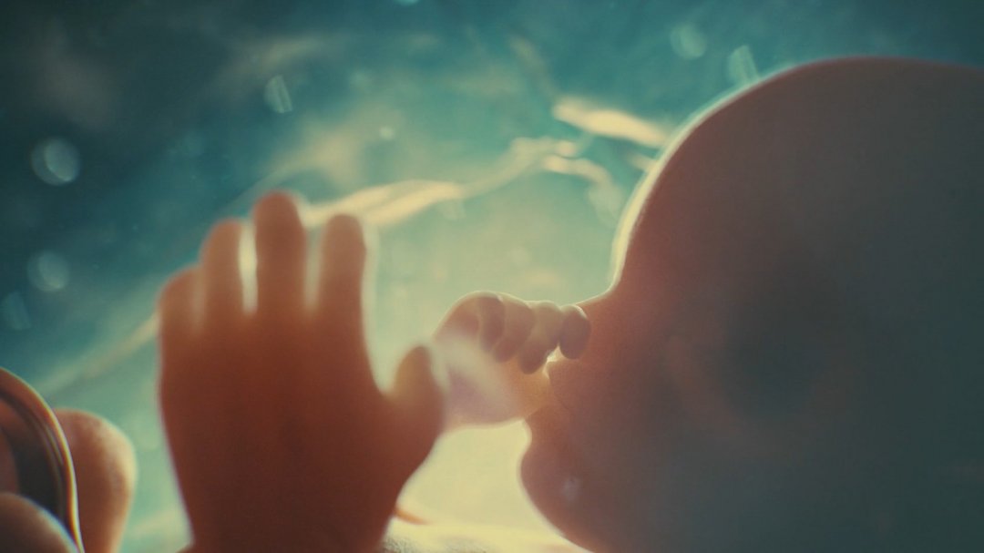 醫(yī)療醫(yī)學三維動畫制作的應用及分類