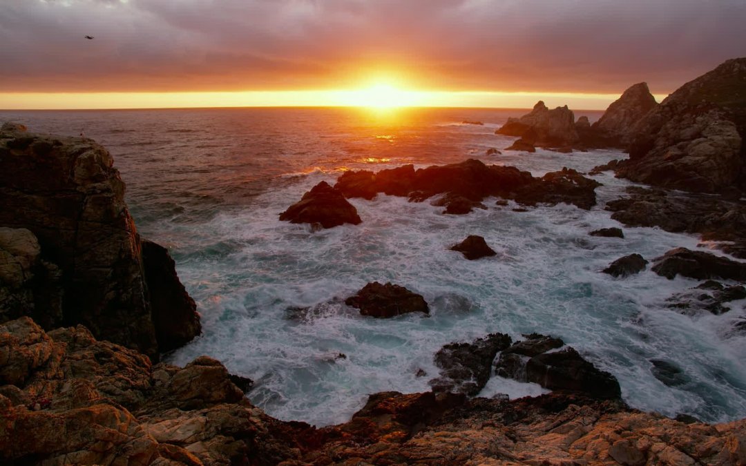 紀錄片拍攝制作的內(nèi)容包括哪些方面？