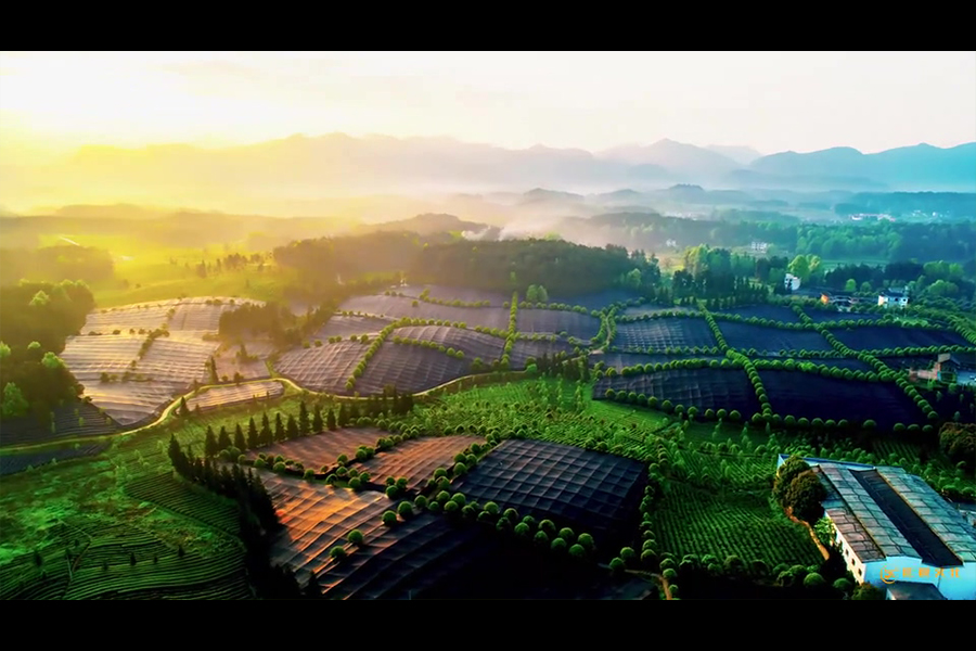 企業(yè)宣傳片案例-工廠環(huán)境展示-影晨文化