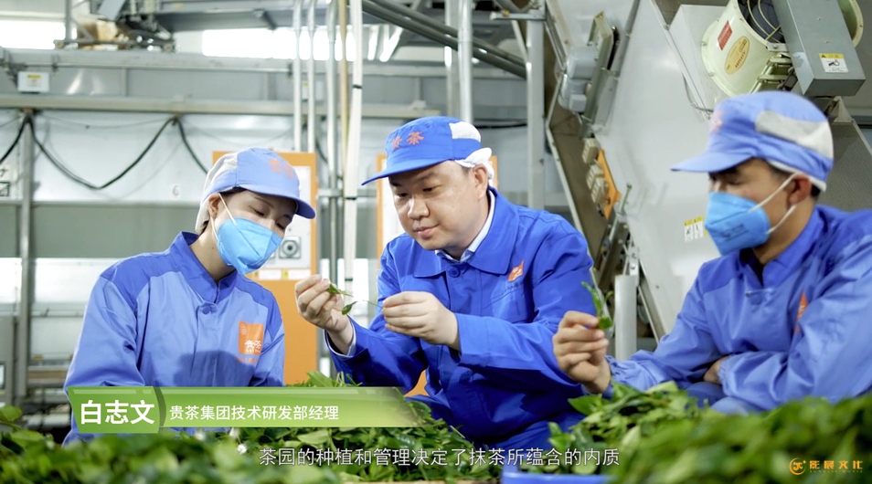 企業(yè)廣告片制作公司,公司做宣傳片