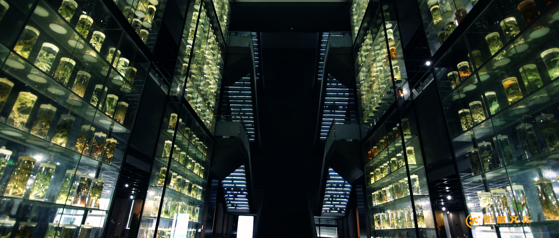 廣州短視頻剪輯，廣州視頻制作公司