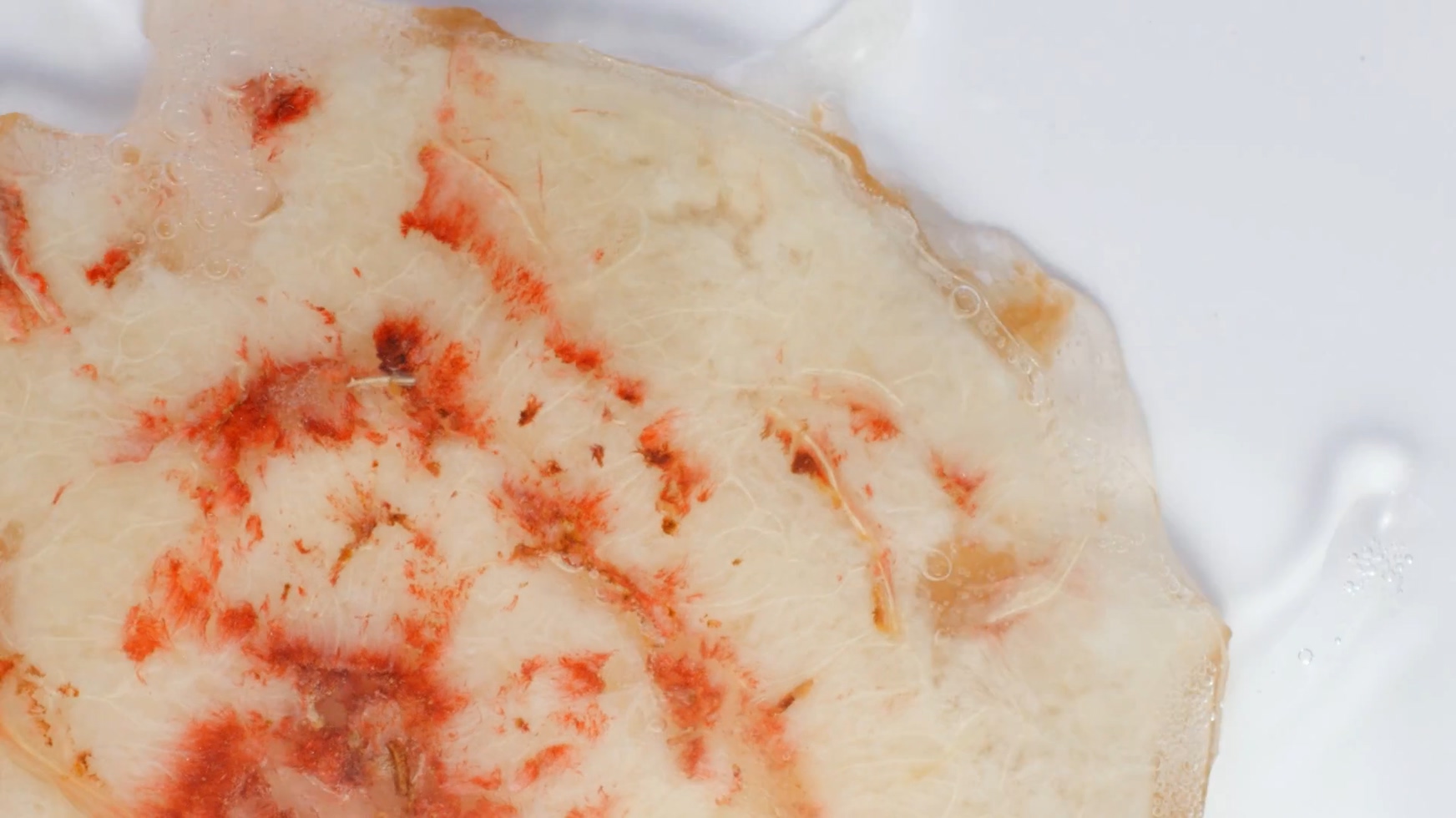 廣州美食廣告視頻拍攝，廣州廣告片制作