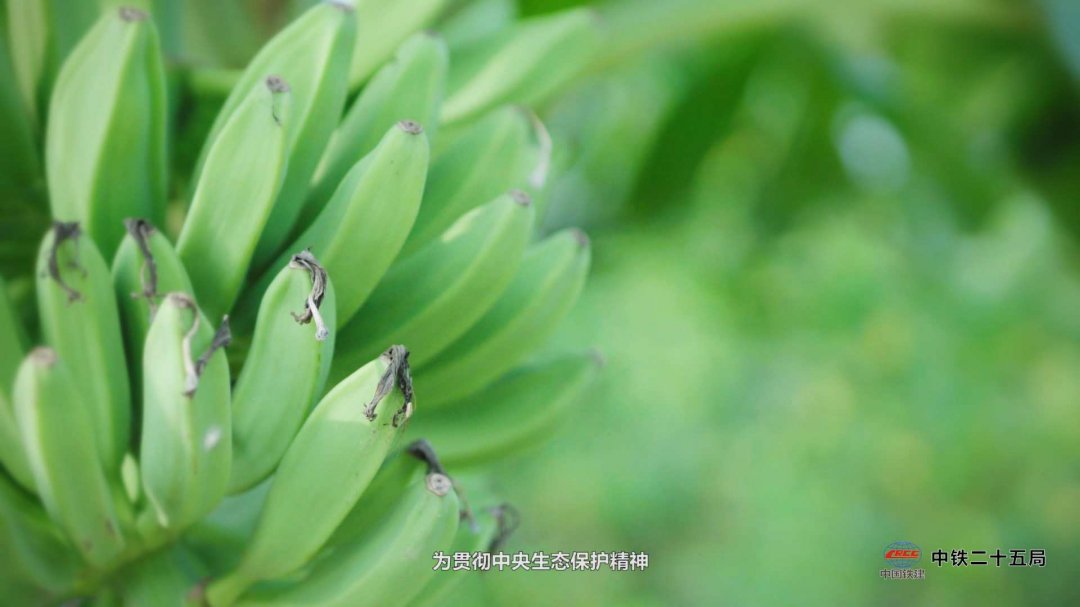 廣州年會拍攝,廣州公司年會合影拍攝