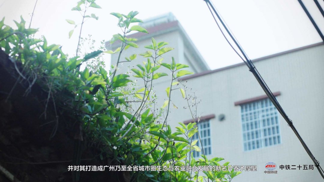 廣州年會合影拍攝地點(diǎn),廣州年會視頻拍攝