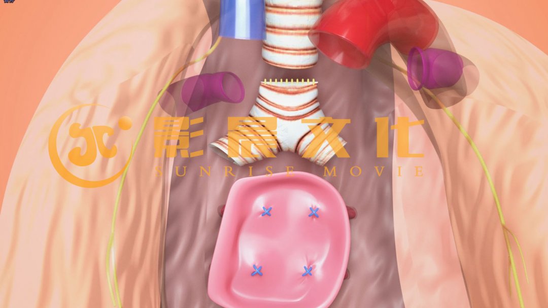 制作黃埔醫(yī)學(xué)三維動畫有哪些需要注意的？