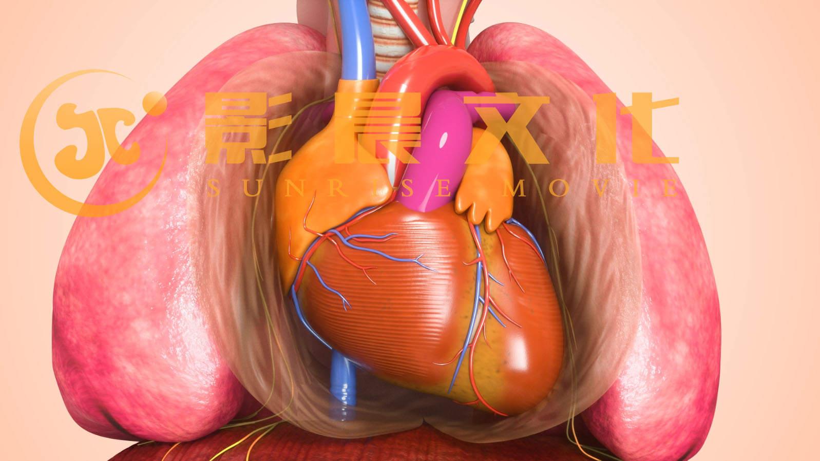 醫(yī)療三維動畫制作