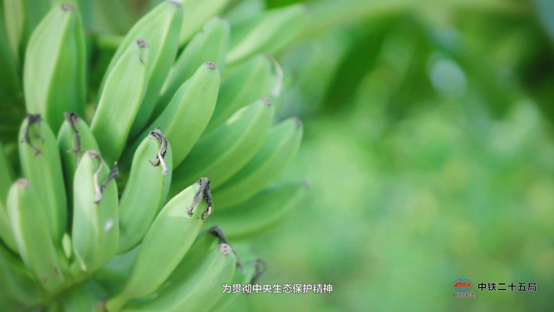 惠州3D動畫制作公司在制作工業(yè)中的應(yīng)用