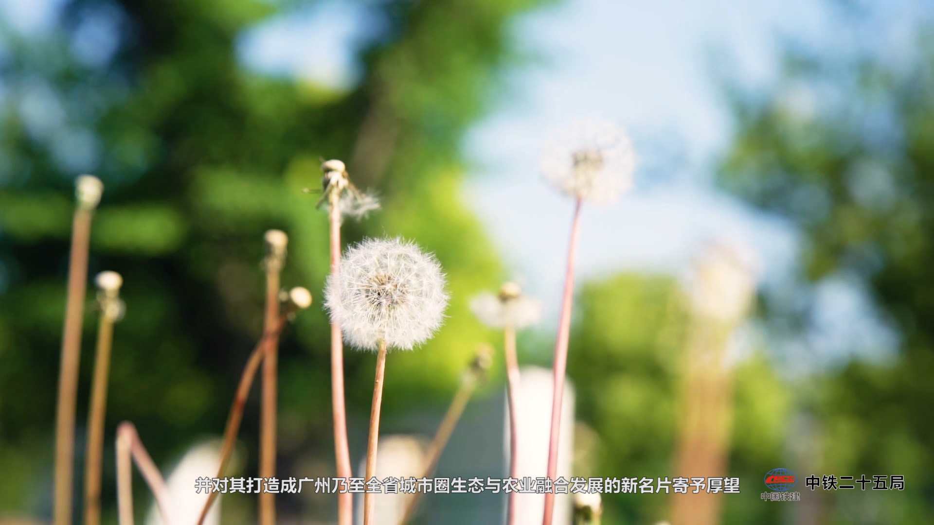 制作視頻宣傳片需要注意什么? 內容制作干貨